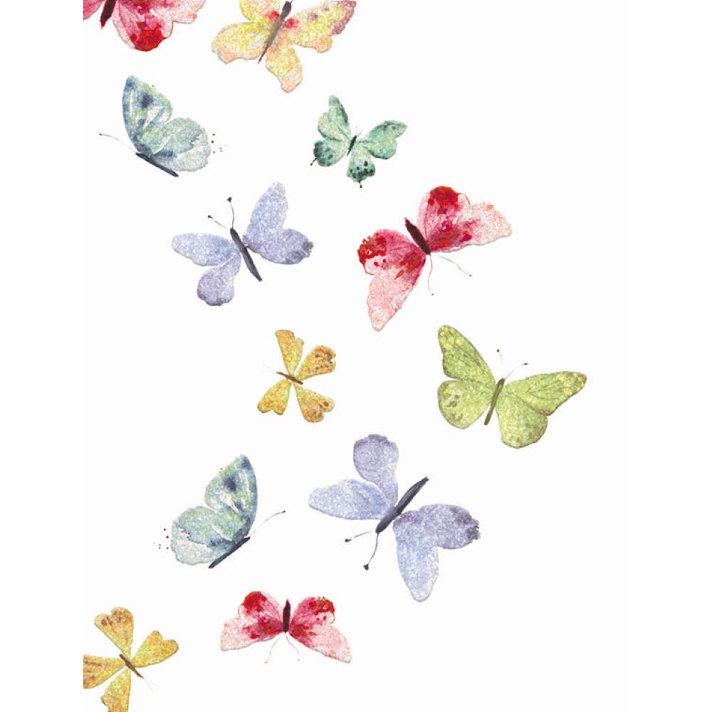 Blank Boxed Greeting Cards