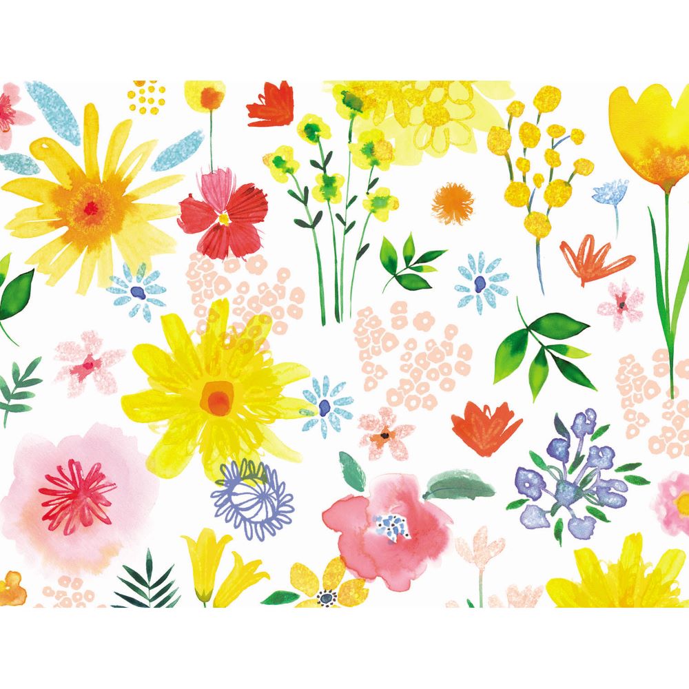Blank Boxed Greeting Cards