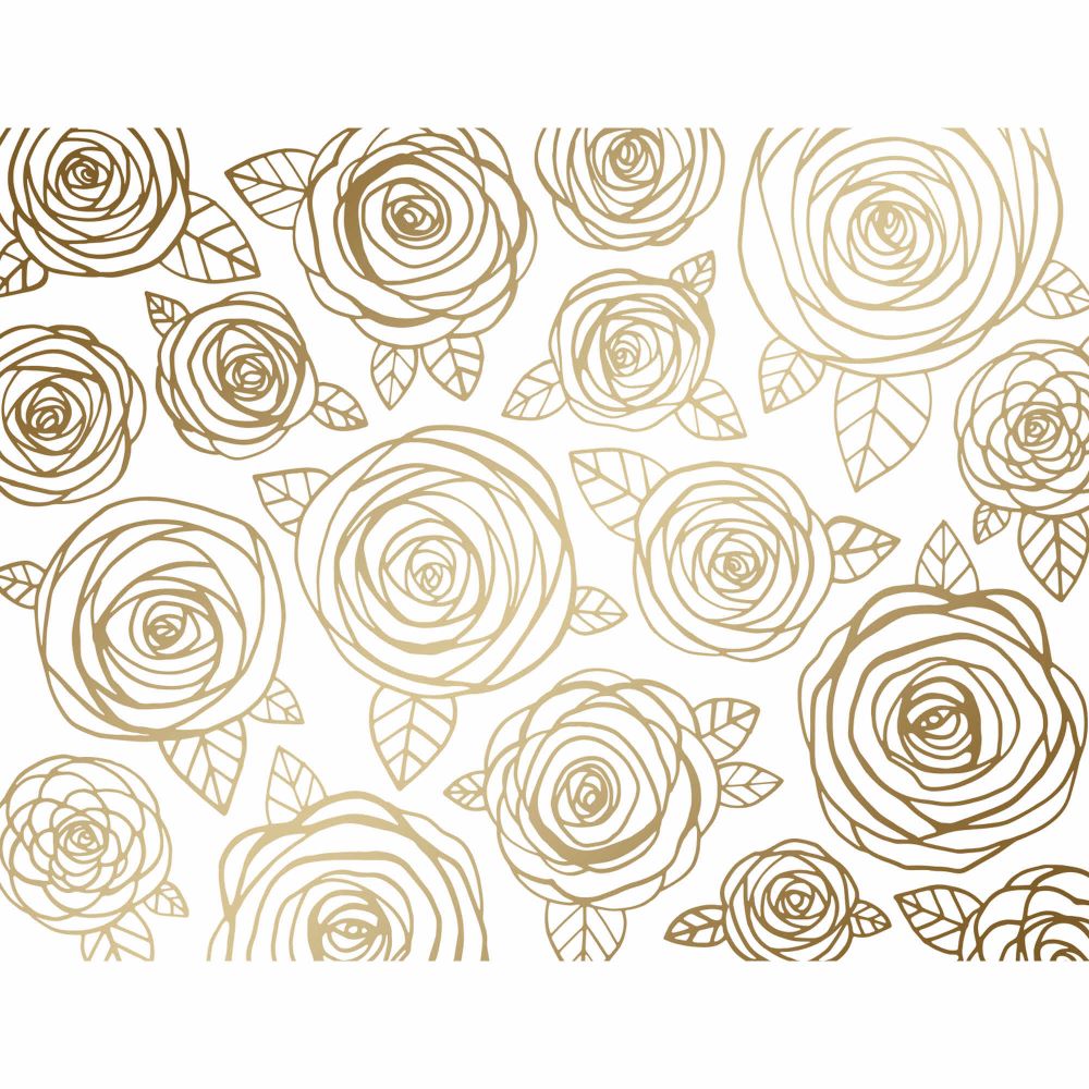 Blank Boxed Greeting Cards