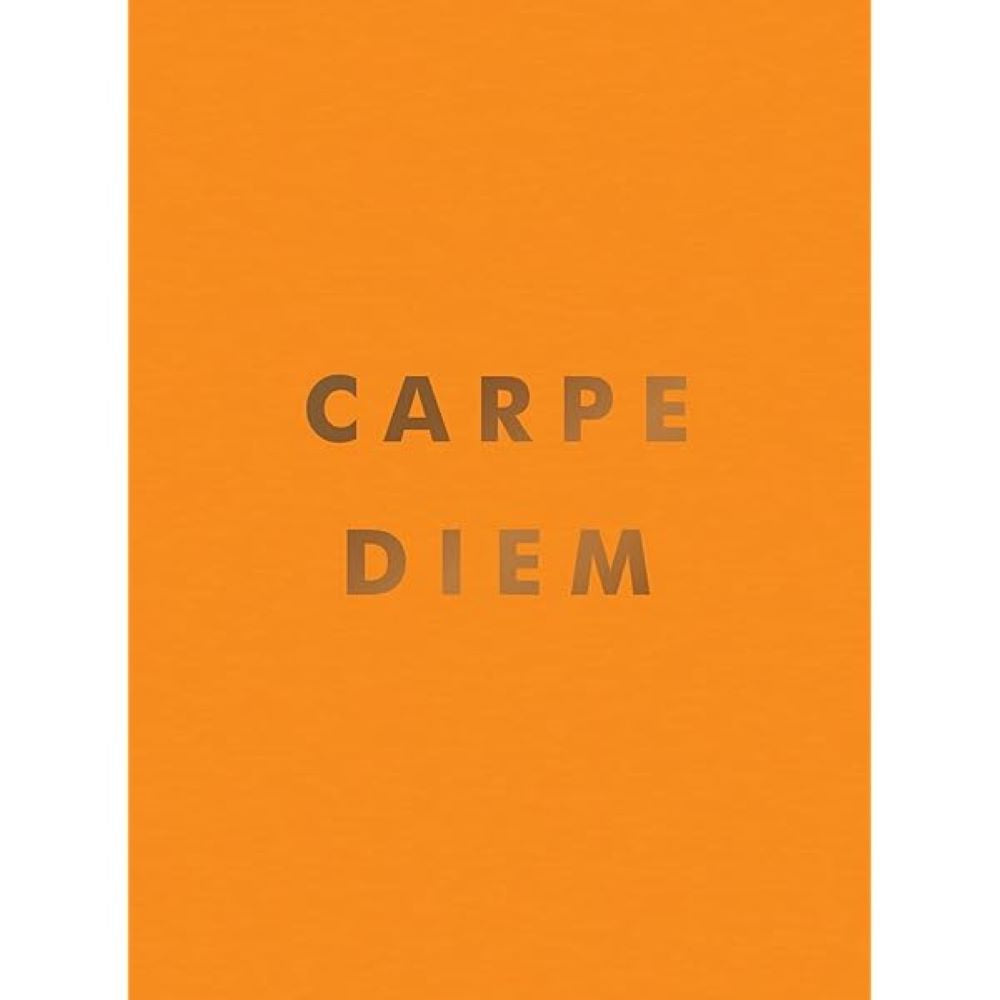 Carpe Diem Mini Book
