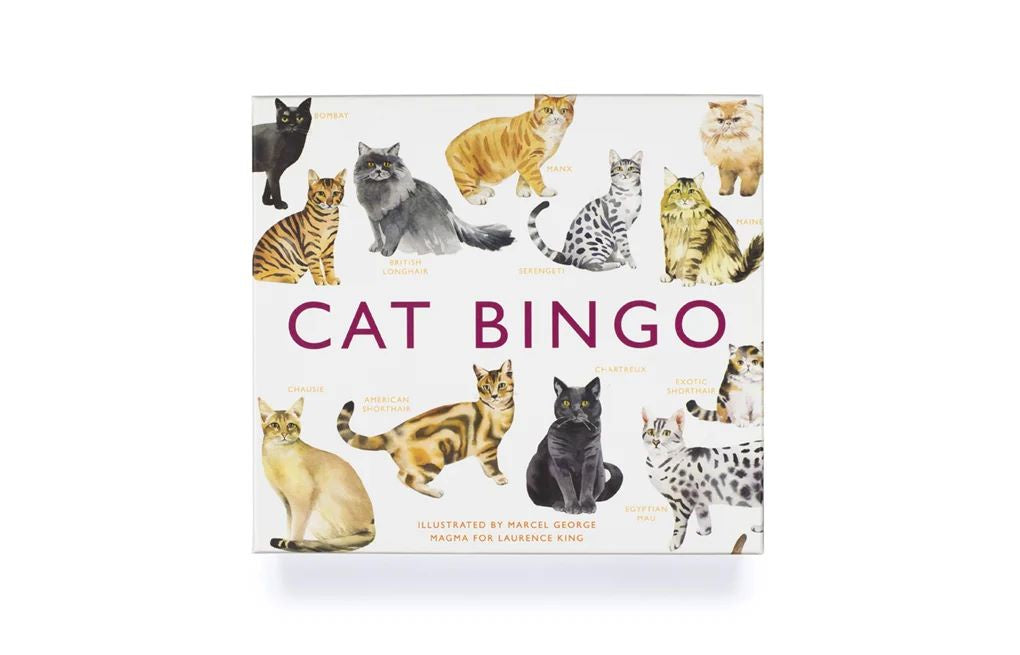 Cat Bingo