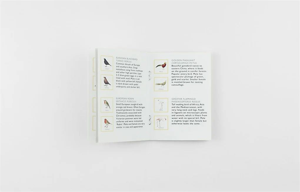 Match a Pair of Birds: A Memory Game