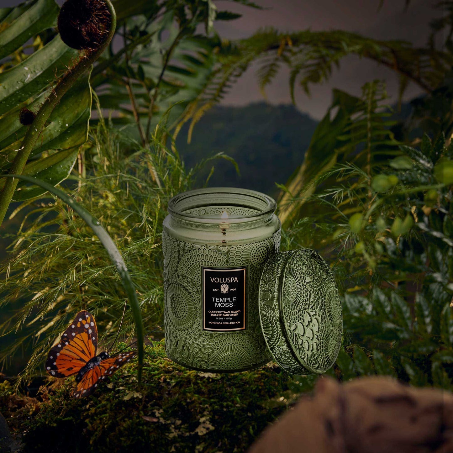 Voluspa Temple Moss Small Jar Candle