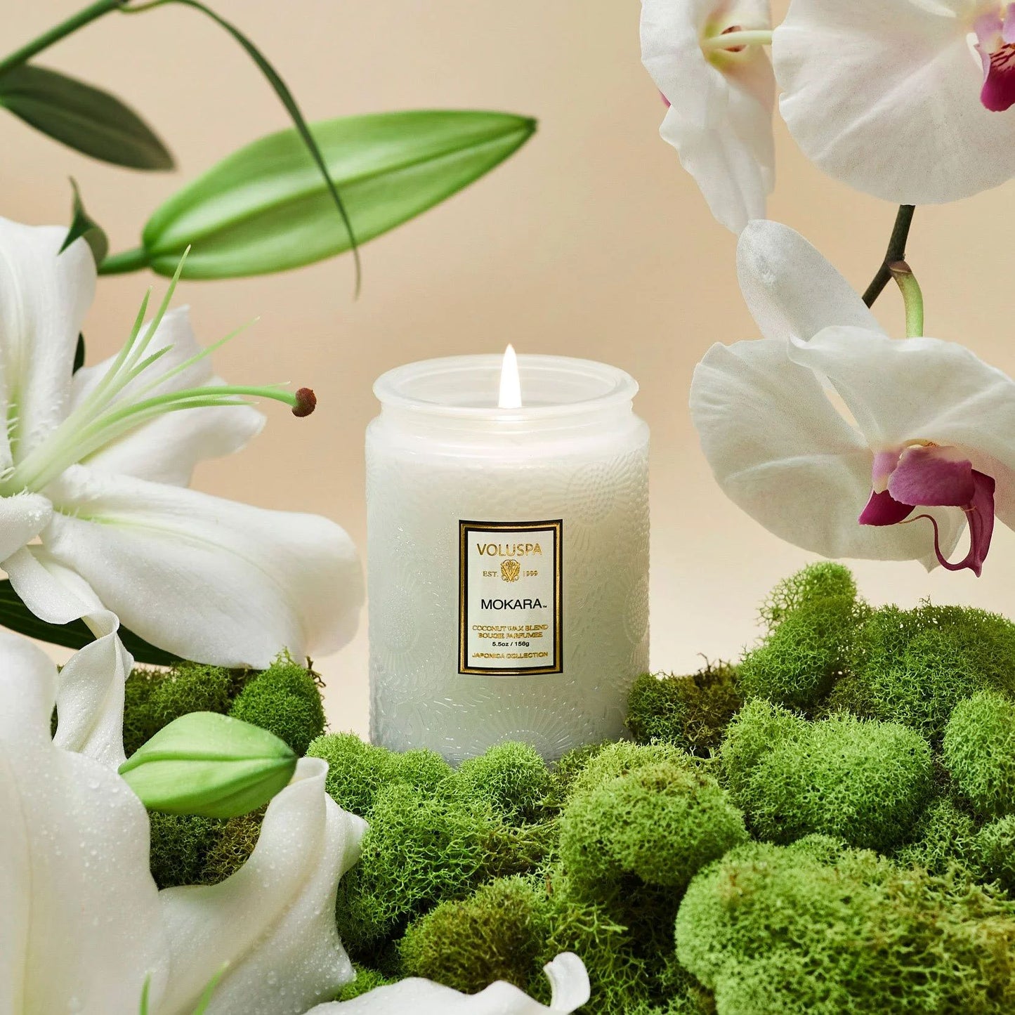 Voluspa Mokara Small Jar Candle