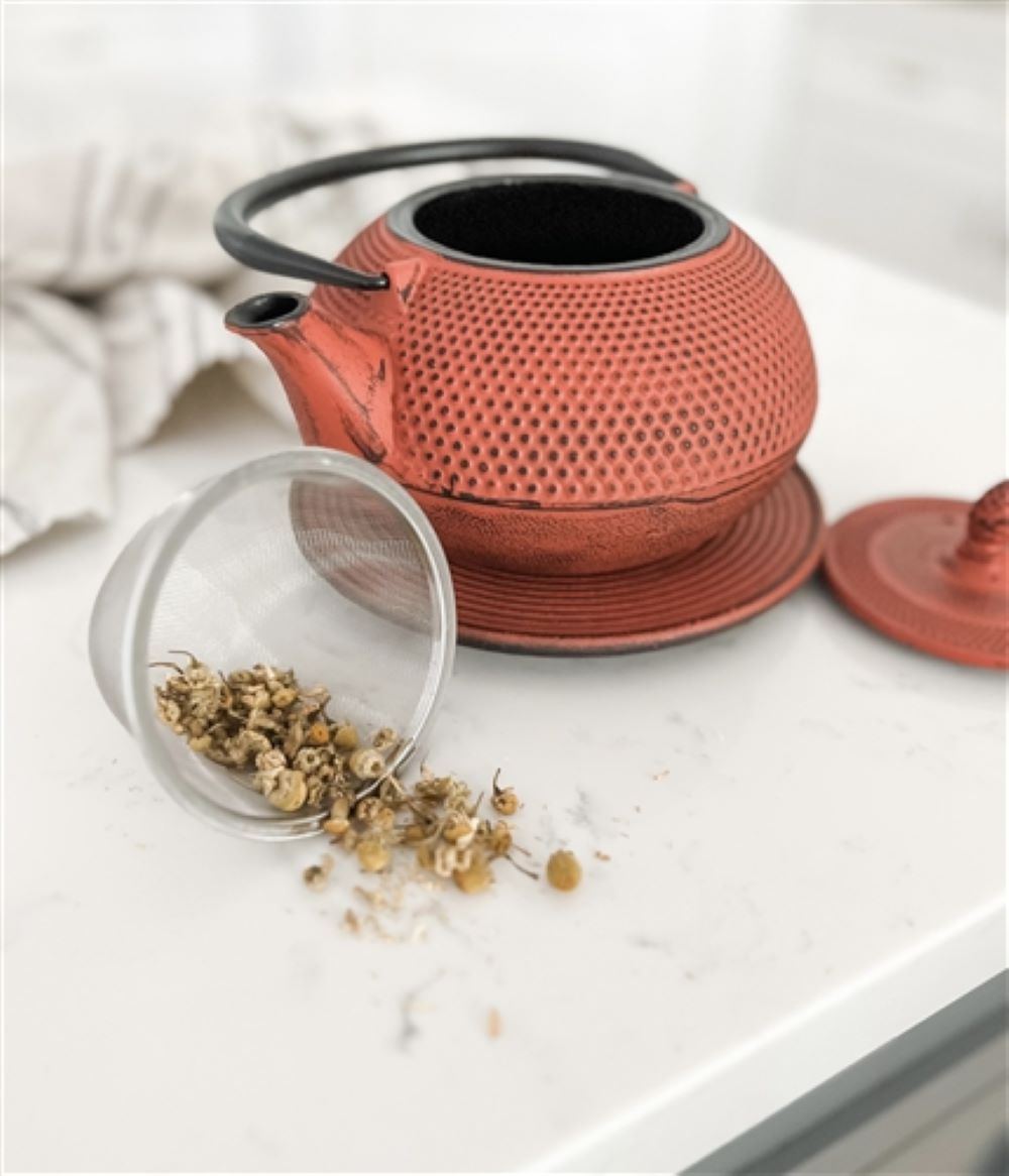 Red Arare Cast Iron Teapot with Trivet