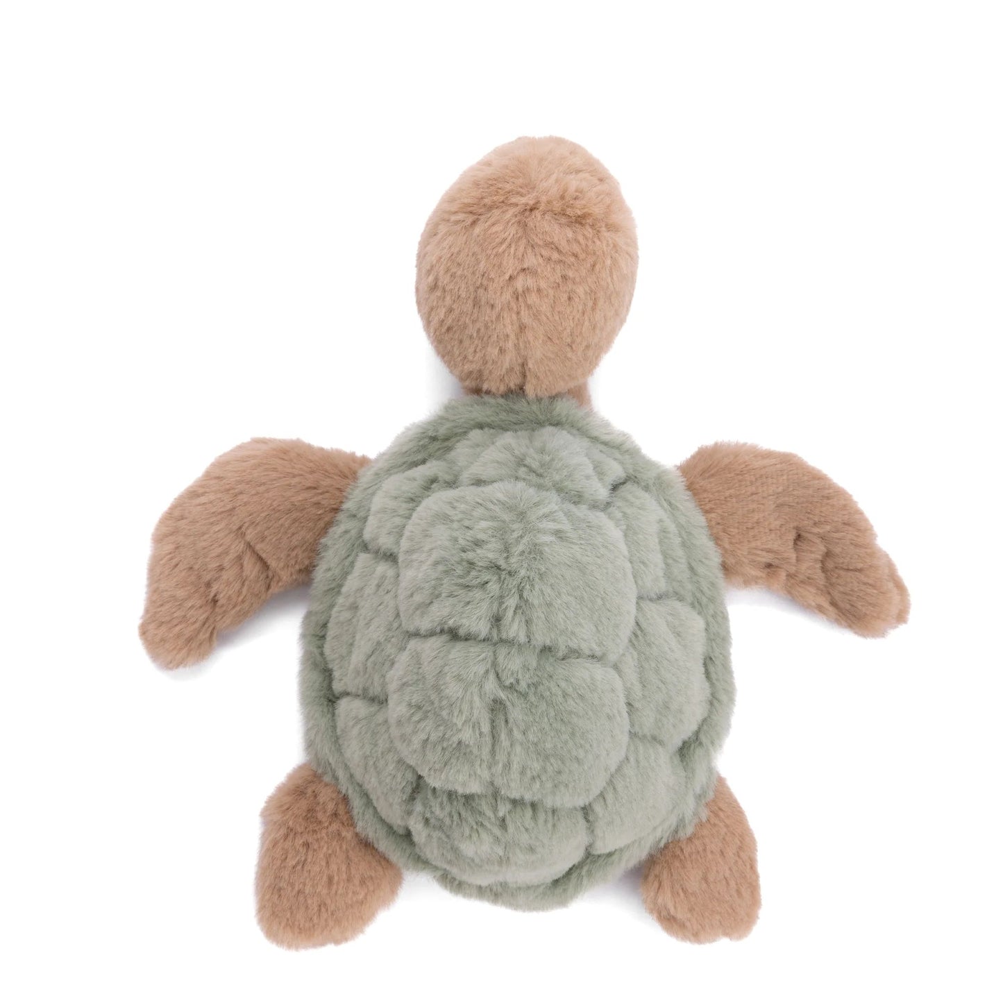 Green Baby Sandy Turtle