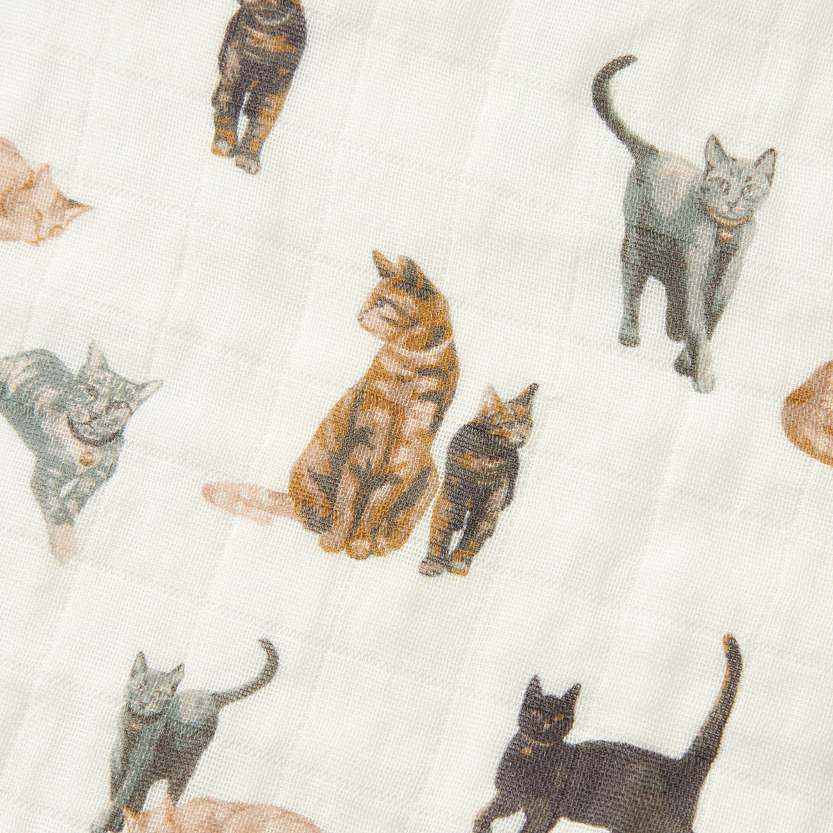 Cat Organic Cotton Two-Piece Burp Cloth Set