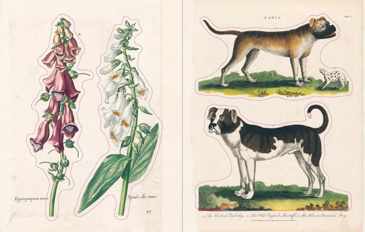 The John Derian Sticker Book