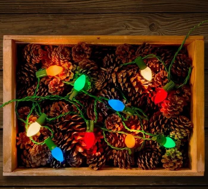 Tru-Tone C7 Classicolor  Light Set