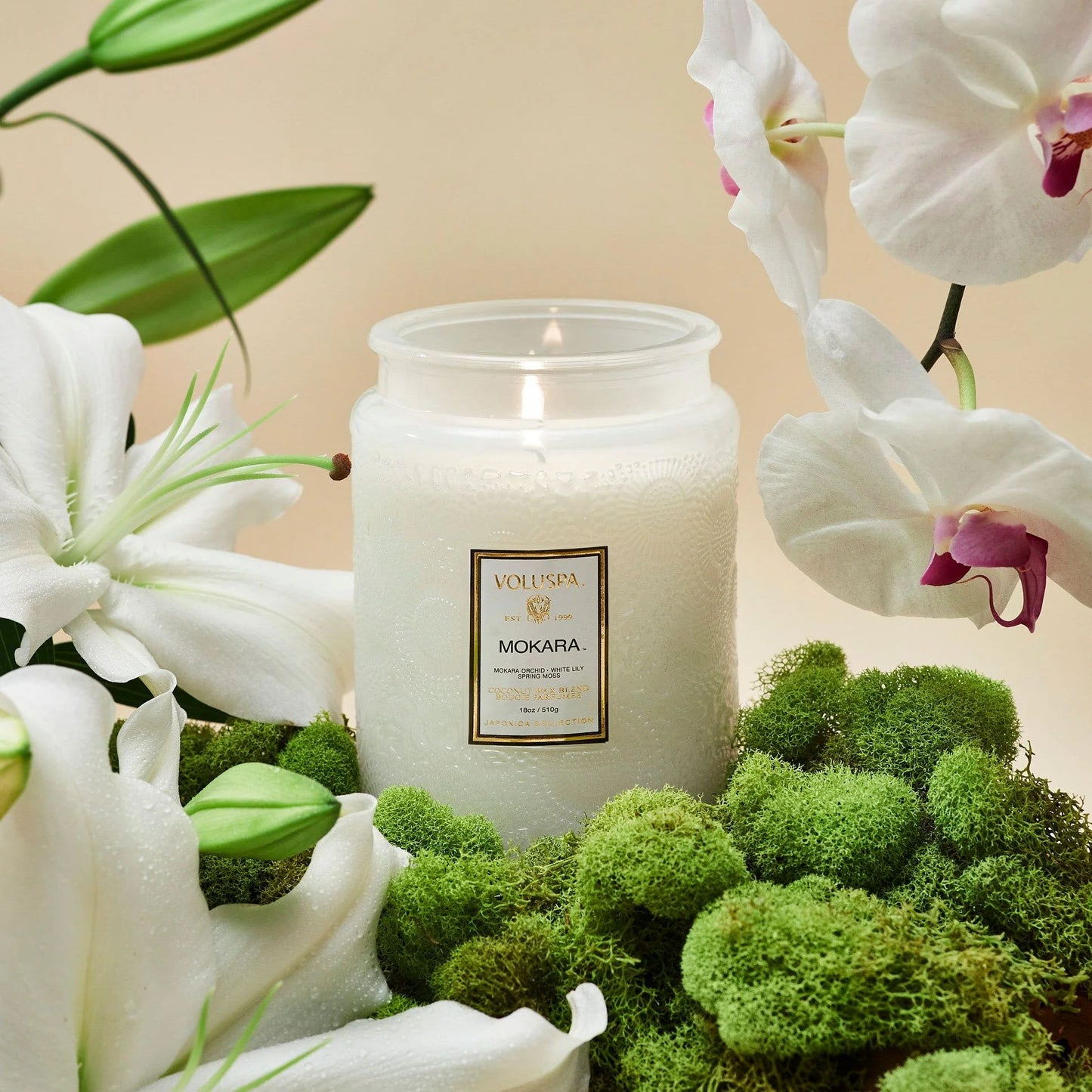 Voluspa Mokara Large Jar Candle
