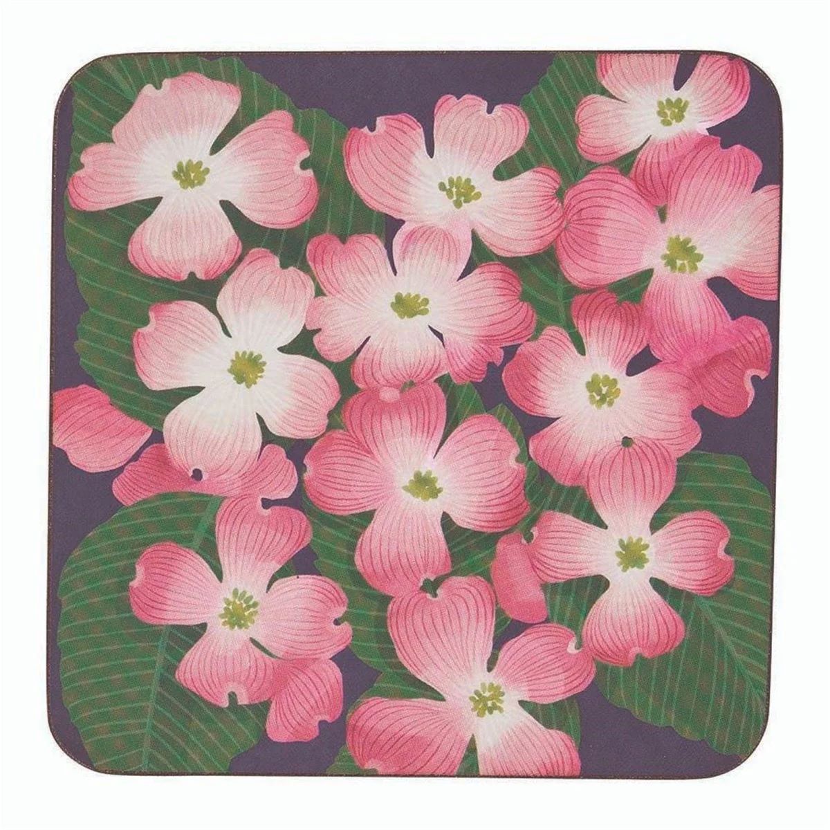 Cork Backed Coasters - Set of 4