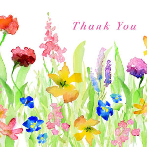 Wildflowers Boxed Thank You Cards