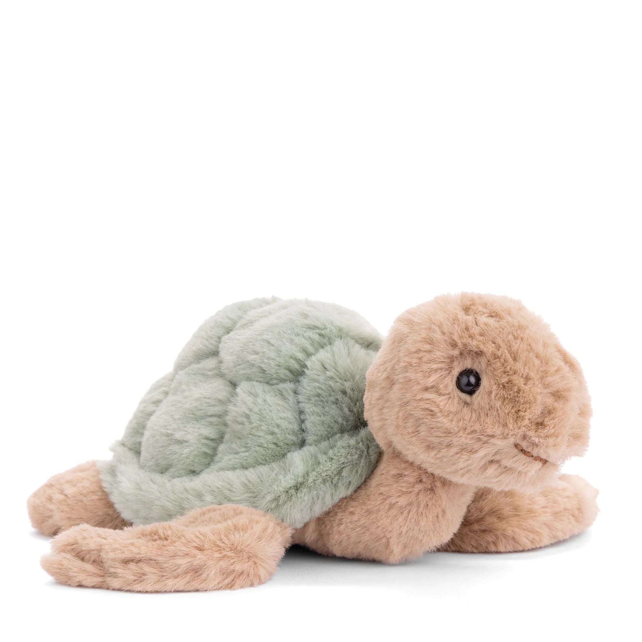 Green Baby Sandy Turtle