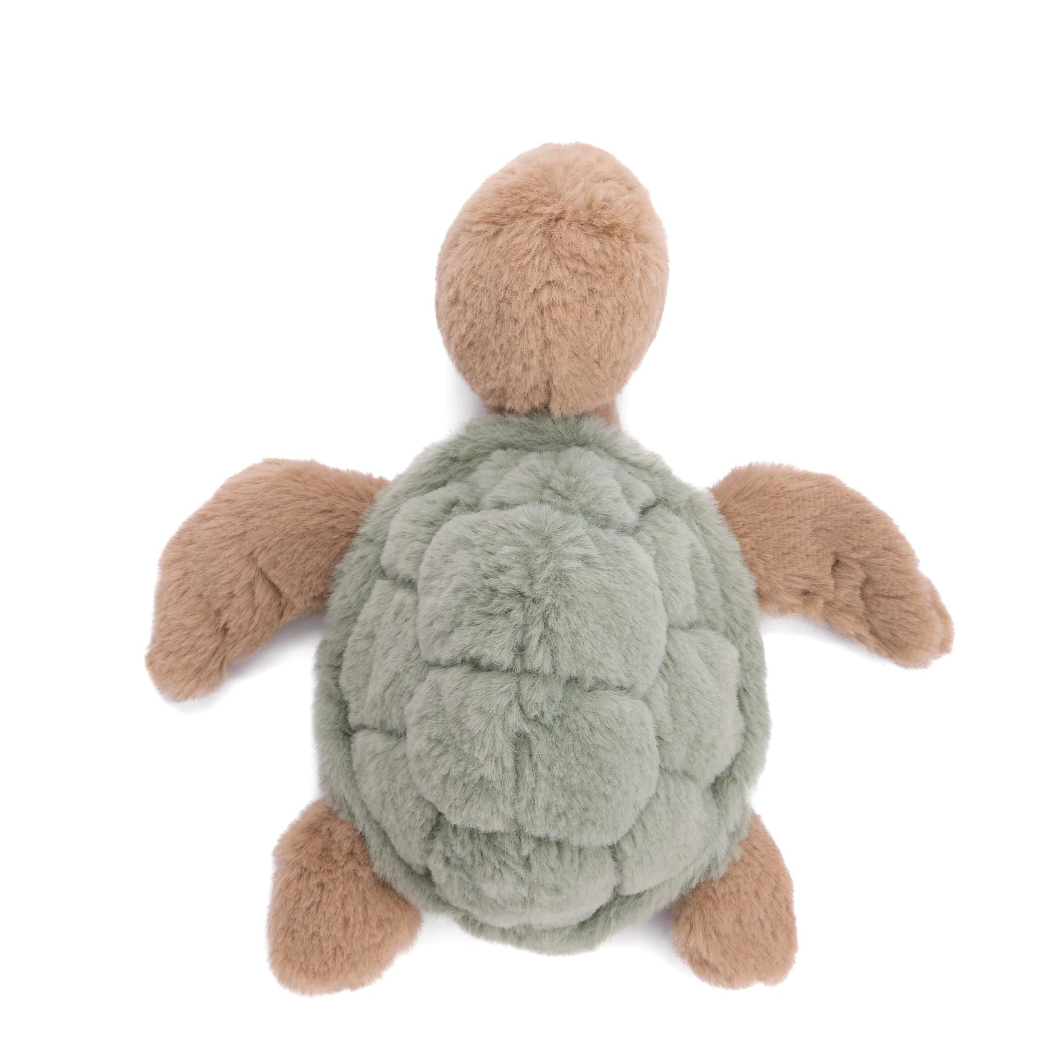 Green Baby Sandy Turtle - Image 2