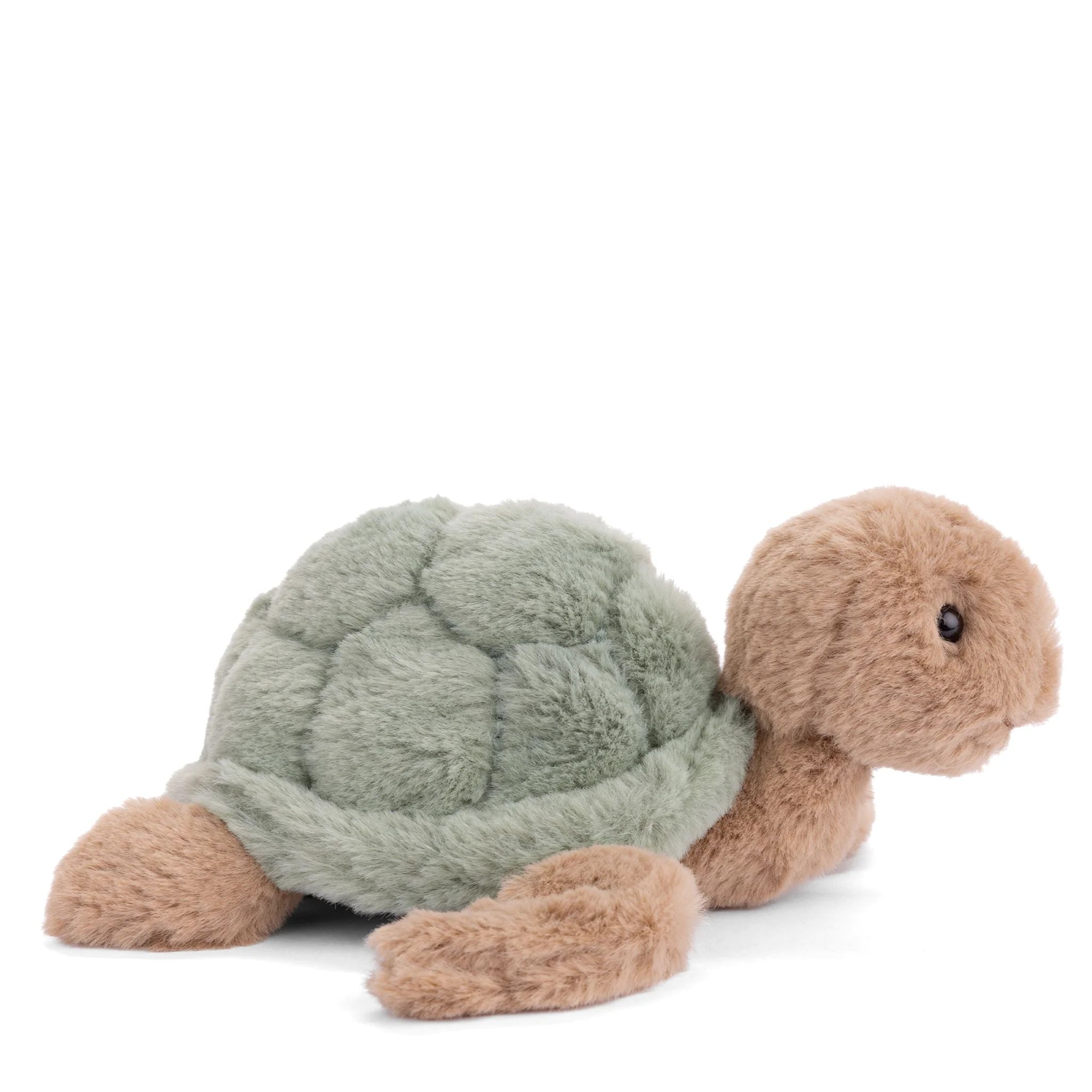 Green Baby Sandy Turtle - Image 3