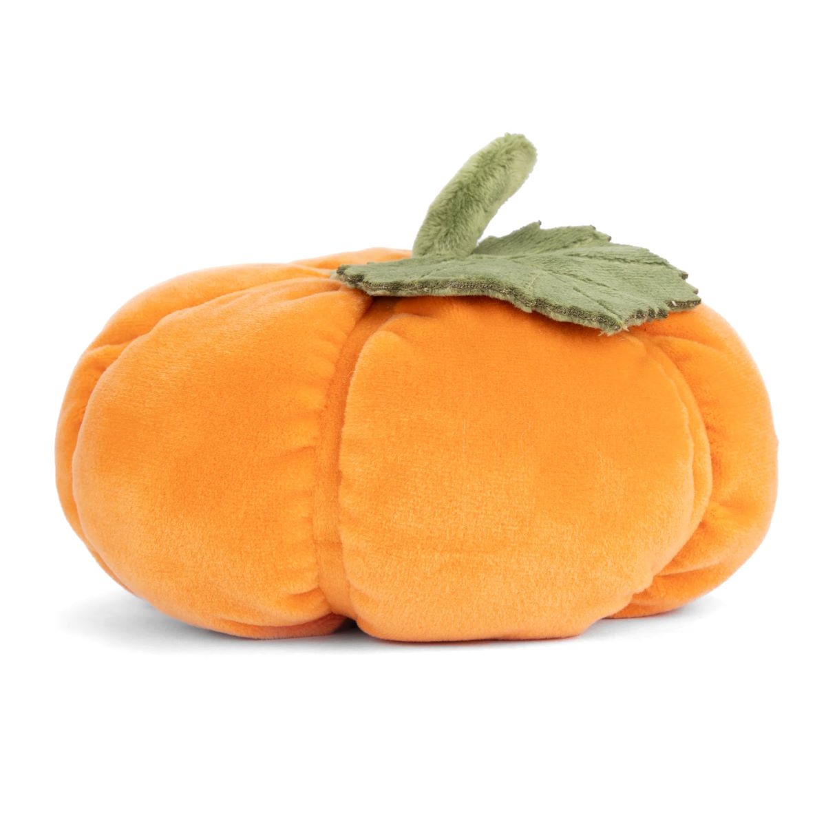 Baby Pumpkin - Image 3