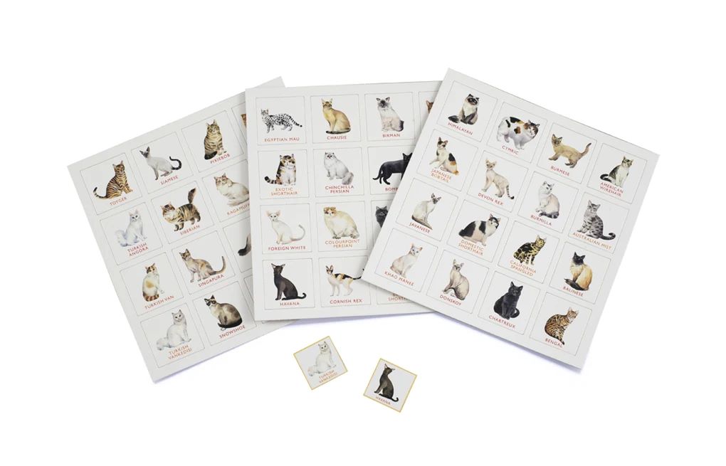 Cat Bingo - Image 3