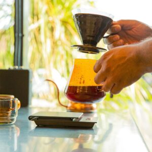 HARIO Colors Glass Coffee and Tea Server