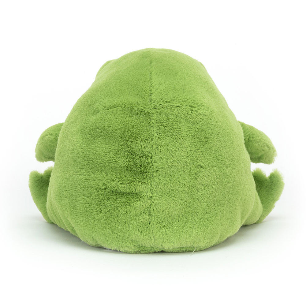 Jellycat Ricky Rain Frog - Image 2