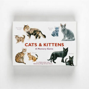 Cats & Kittens: A Memory Game