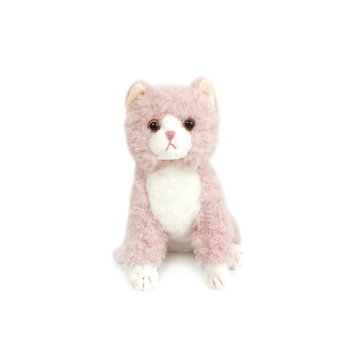 Cleo Kitty, Small