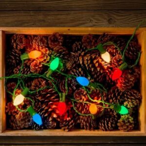 Seasonal