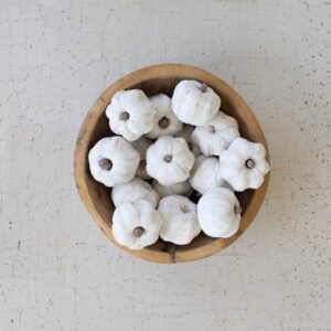 Bag of Fifteen Dried Miniature Faux Pumpkins - White
