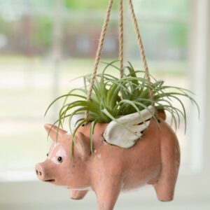 Ceramic Hanging Flying Pig Planter