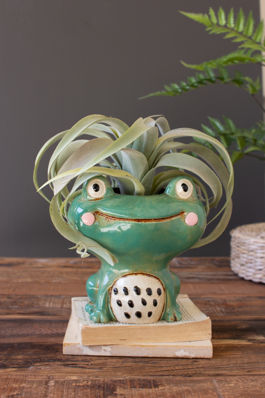 Ceramic Frog Planter (min 2)