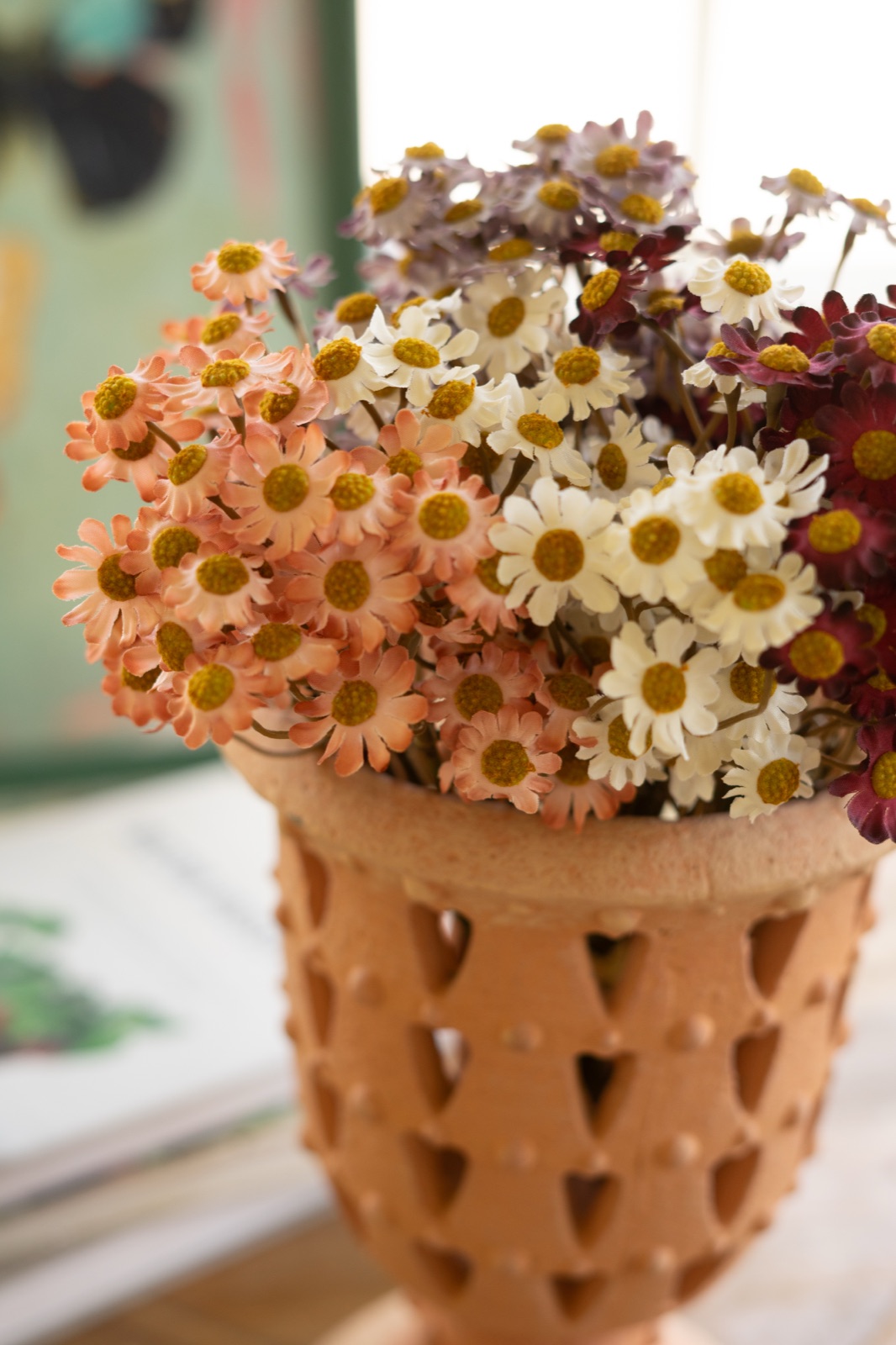 Chamomile Bundle (6 Stems) - Blush