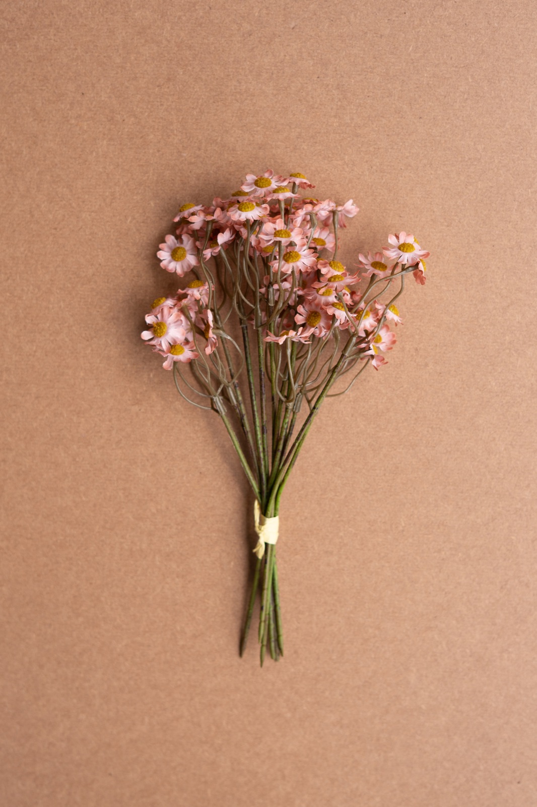 Chamomile Bundle (6 Stems) - Blush
