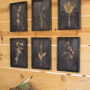 Set of Six Botanical Prints Under Glass