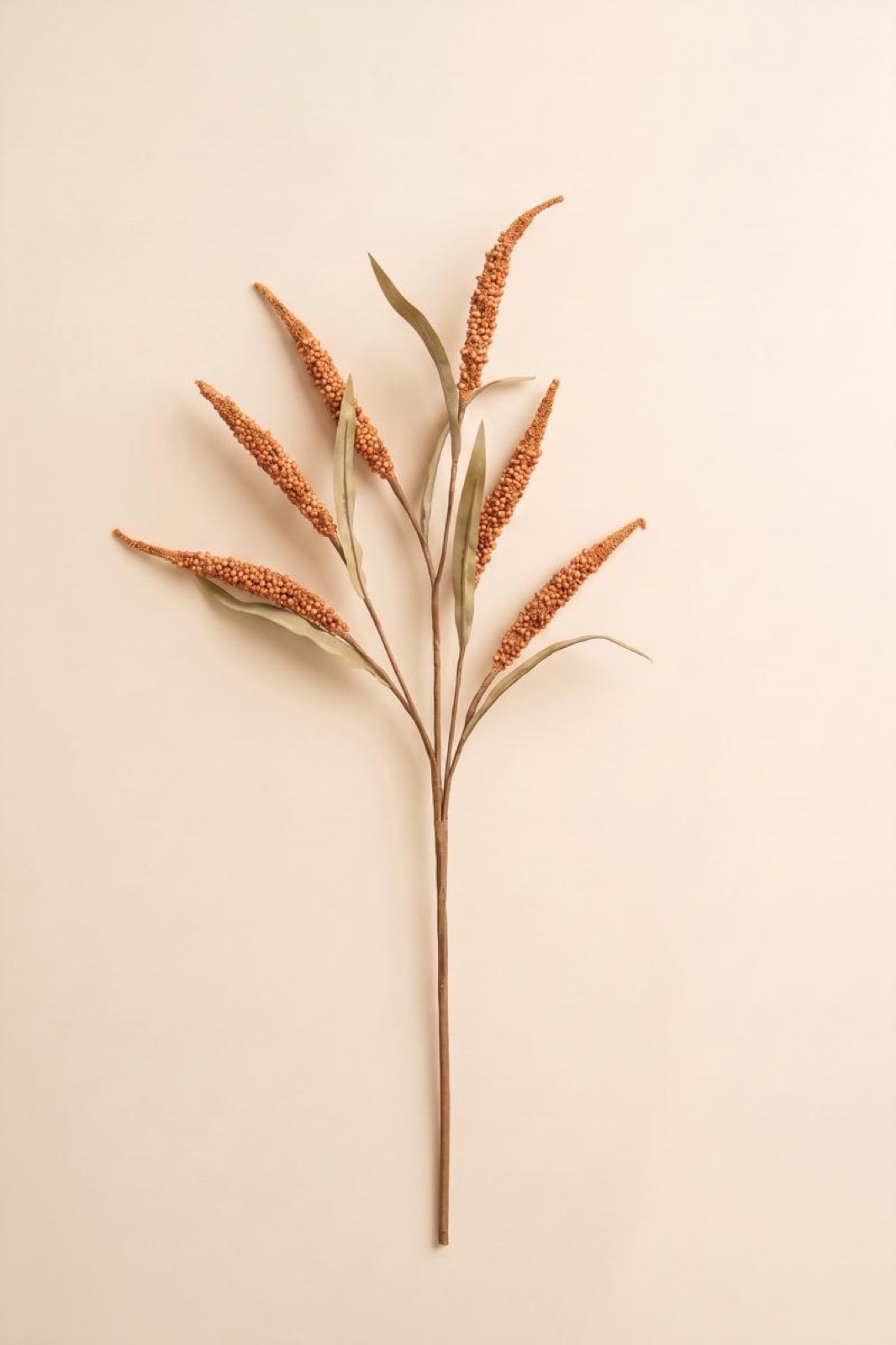 Botanica #9071
