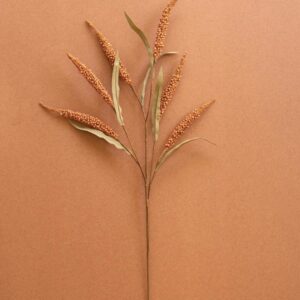Botanica #9071