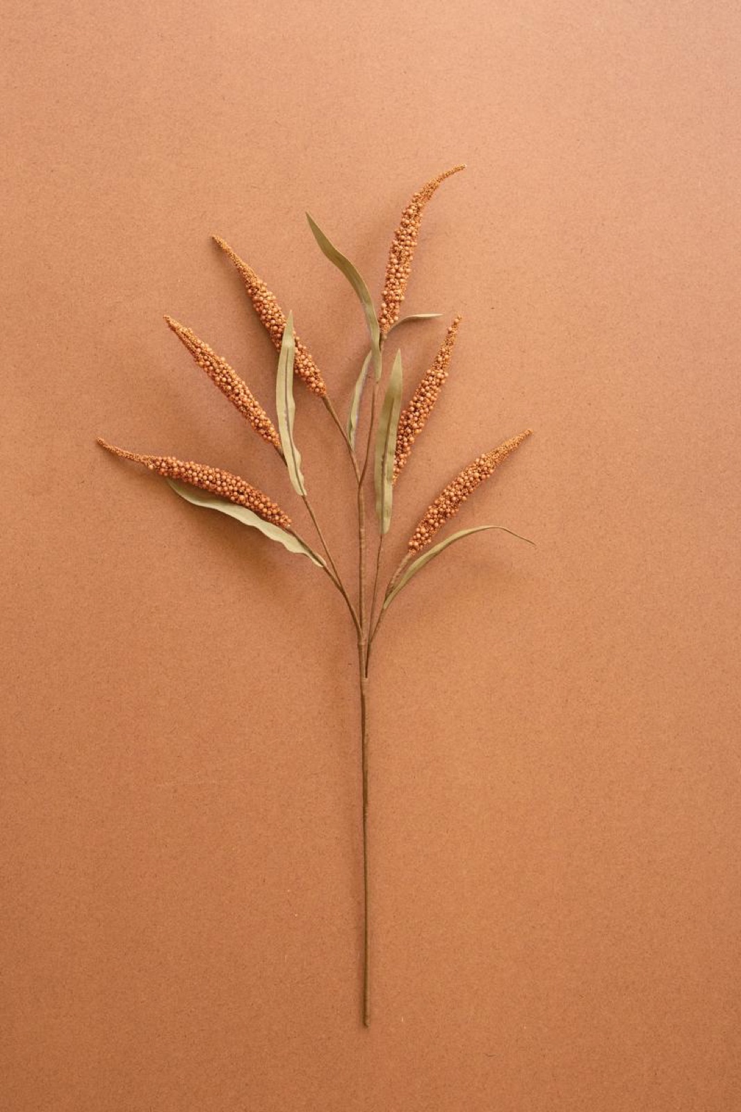 Botanica #9071