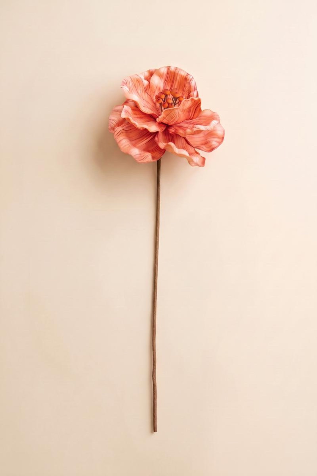 Botanica #9074