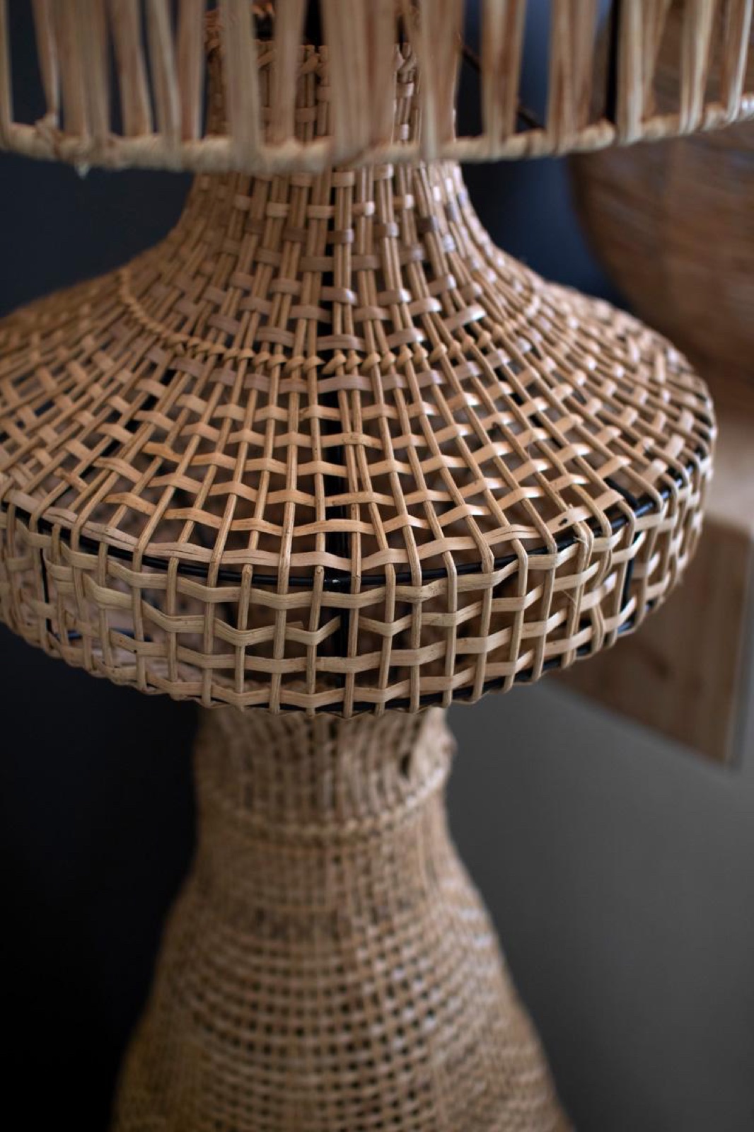 Rattan Floor Lamp with Shade - 60" Tall