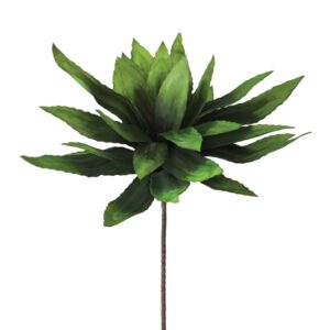 Botancia #294