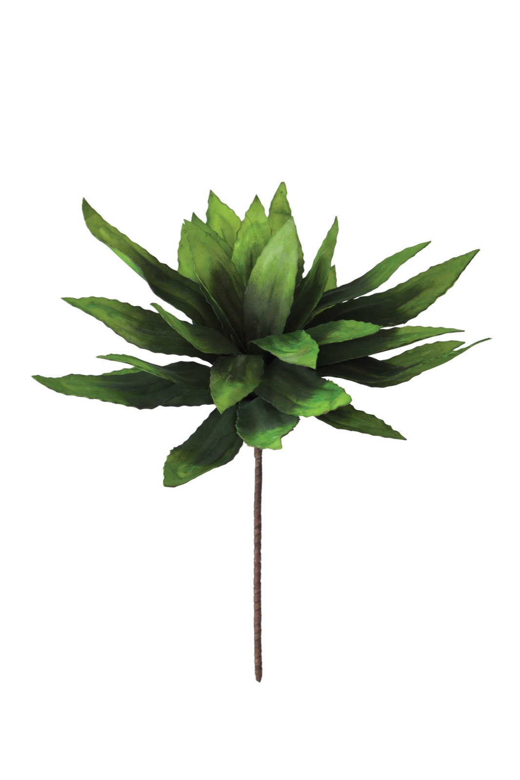 Botancia #294