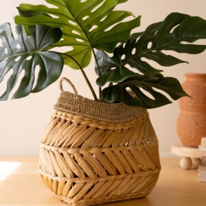 Water Hyacinth Basket with Two Handles