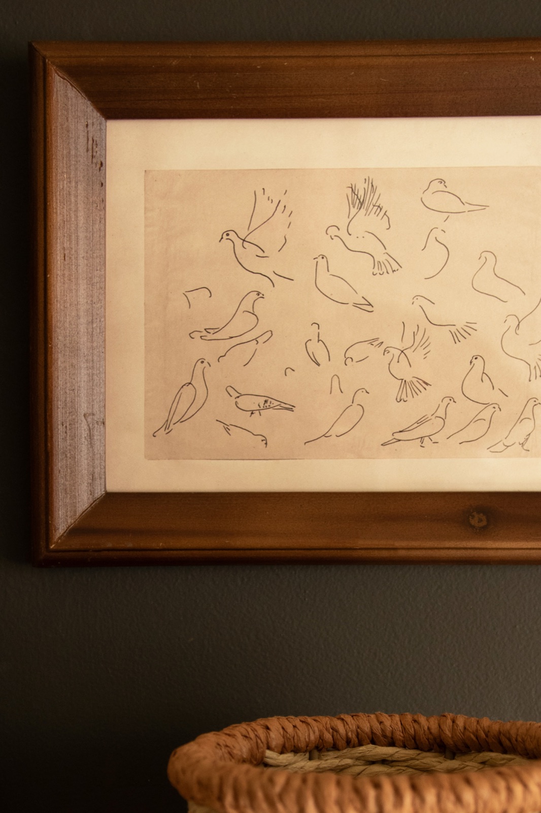 Set of Three Framed Birds Under Glass