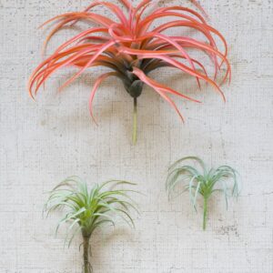 Large Artificial Air Plant