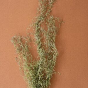 Artificial Green Moss