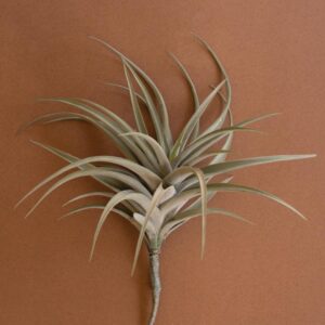 Giant Artificial Airplant