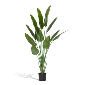Faux Traveler Palm with Weighted Black Pot, 70"