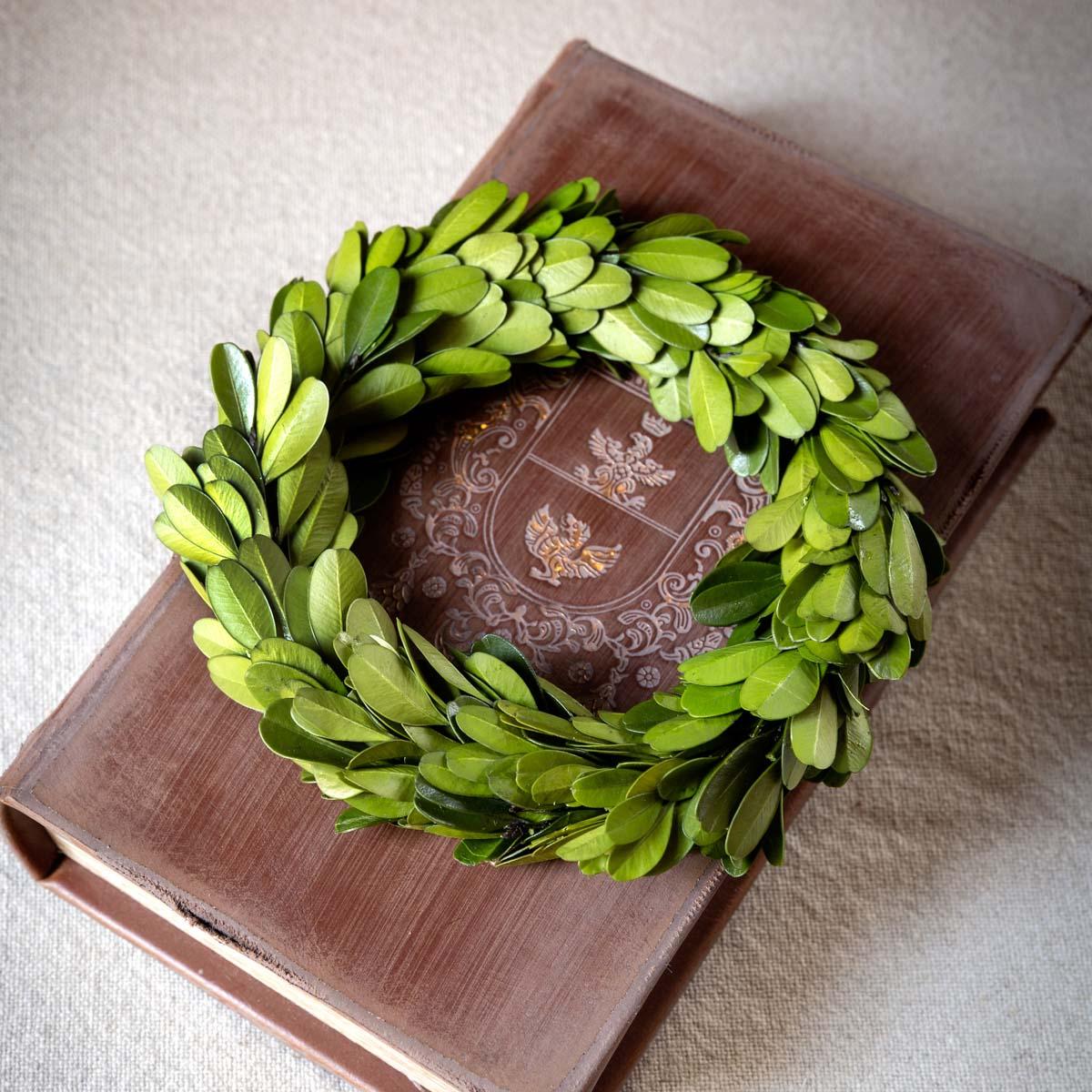 Mini Preserved Boxwood Wreaths, Set of 6 - view 2