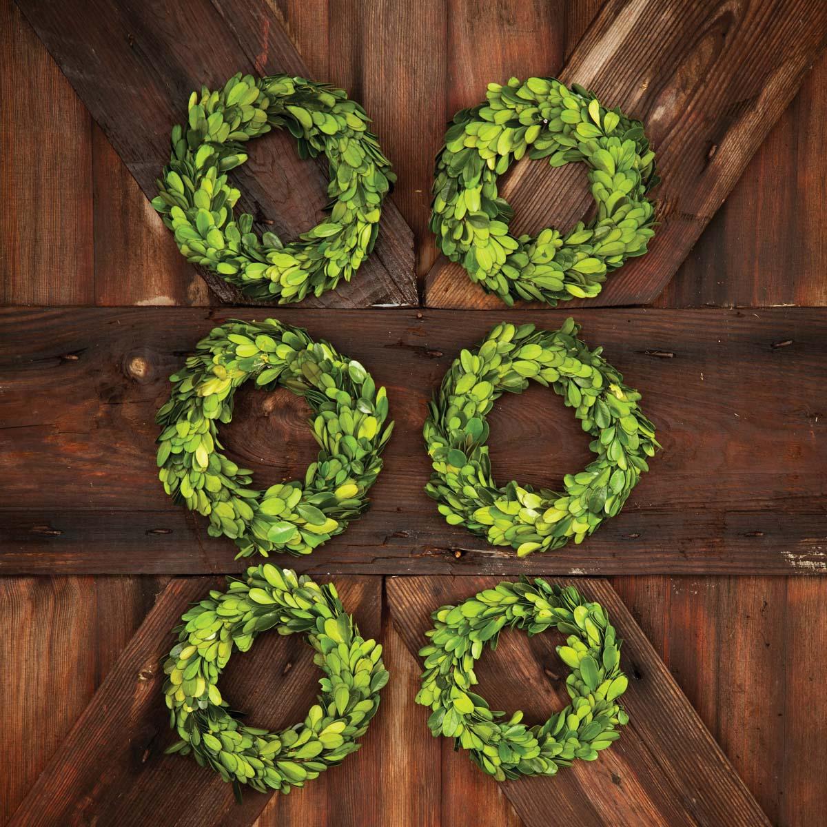 Mini Preserved Boxwood Wreaths, Set of 6 - view 3