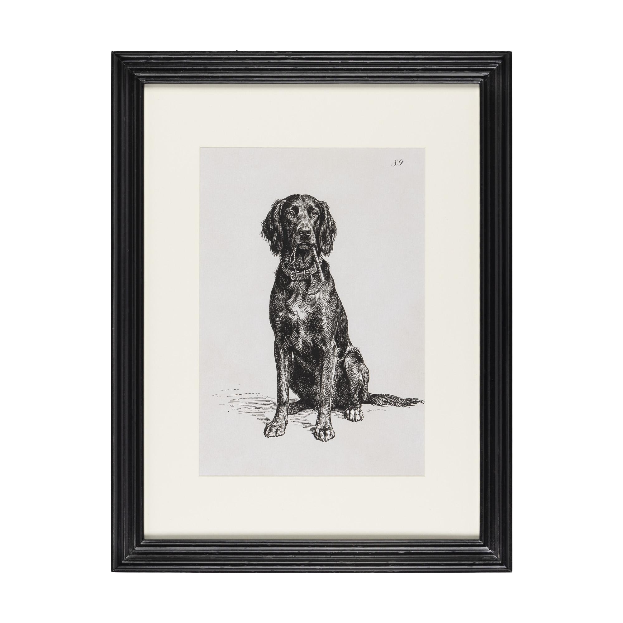 Loyal Guardian Print II